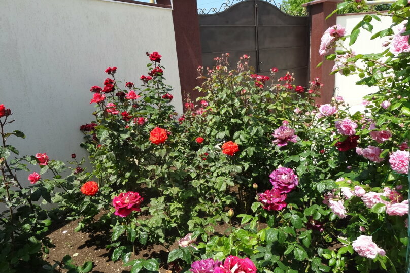 Гостевой дом Севастопольская усадьба Севастополь-60