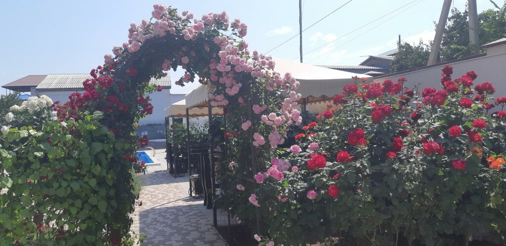 Гостевой дом Севастопольская усадьба Севастополь-77