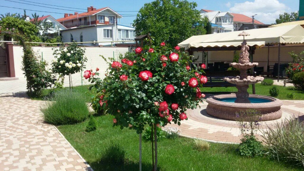 Гостевой дом Севастопольская усадьба Севастополь-88