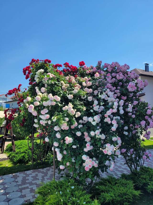 Гостевой дом Севастопольская усадьба Севастополь-89