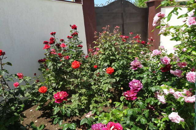 Гостевой дом Севастопольская усадьба Севастополь-59